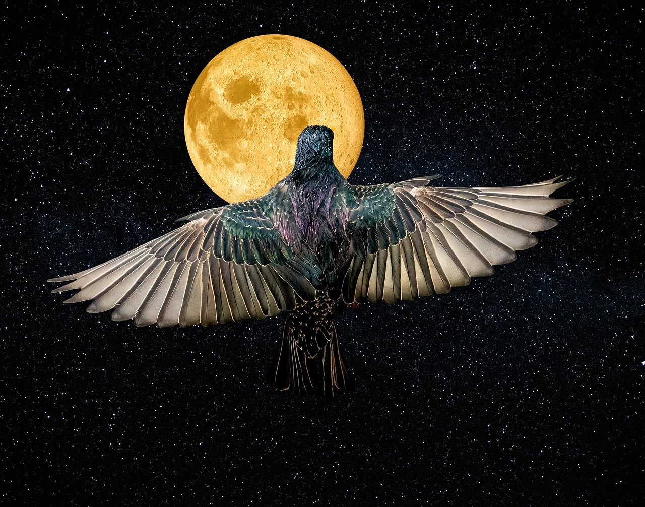 bird-8673242_1280